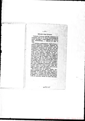 Fotogramma D 1