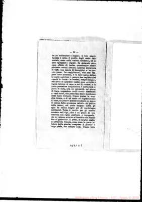 Fotogramma D 2