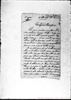 Fotogramma D 11