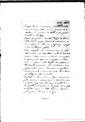 Fotogramma D 1