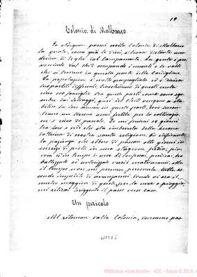 Fotogramma D 5