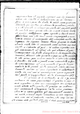 Fotogramma D 11