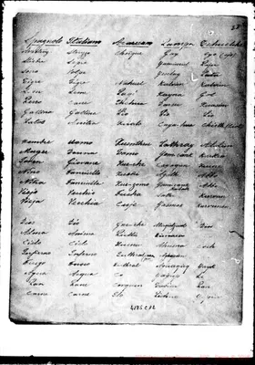 Fotogramma C 12
