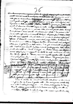 Fotogramma E 11