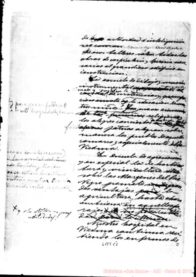 Fotogramma C 8