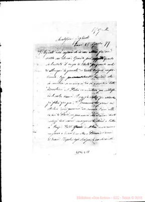 Fotogramma D 11