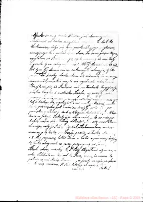 Fotogramma D 10