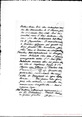 Fotogramma C 5