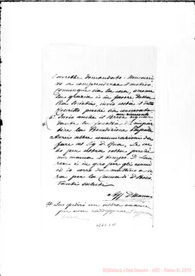Fotogramma E 11