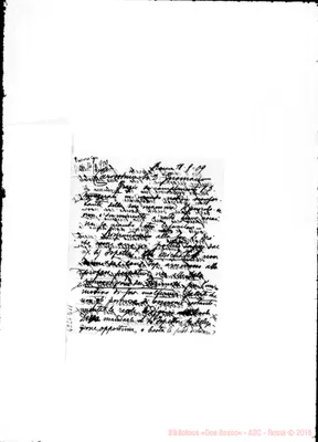 Fotogramma D 11