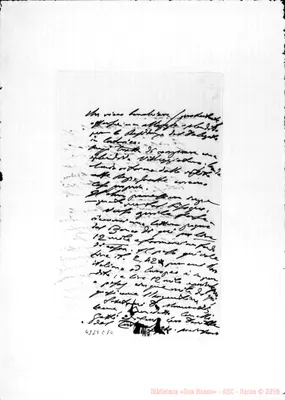 Fotogramma C 10