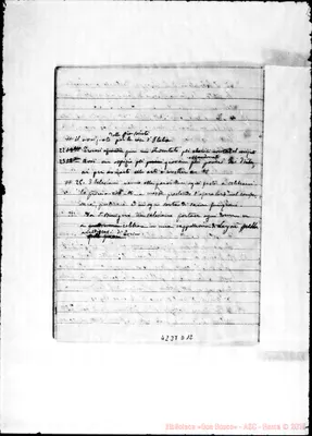 Fotogramma D 12