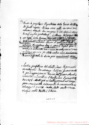 Fotogramma C 4