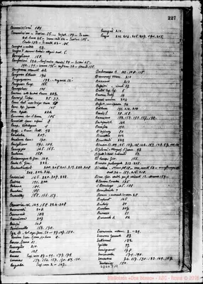 Fotogramma C 12