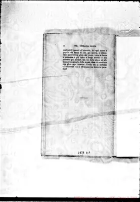 Fotogramma D 8