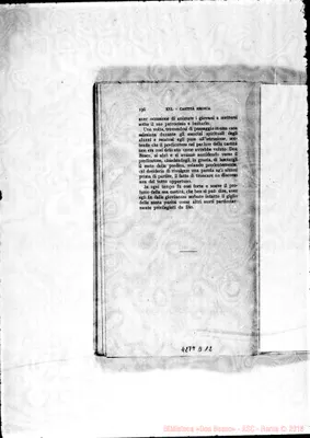 Fotogramma D 12