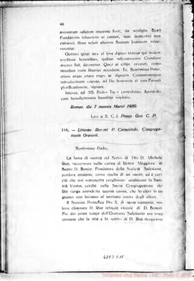 Fotogramma D 11
