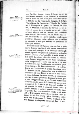 Fotogramma D 11