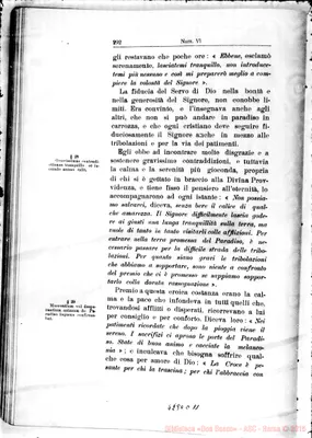 Fotogramma C 11