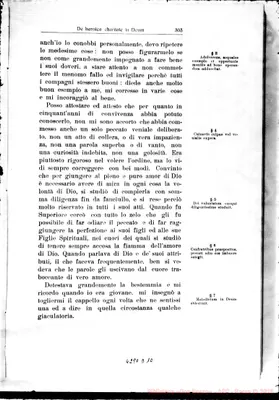 Fotogramma D 10