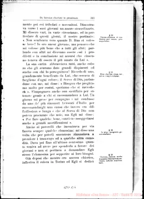 Fotogramma B 4