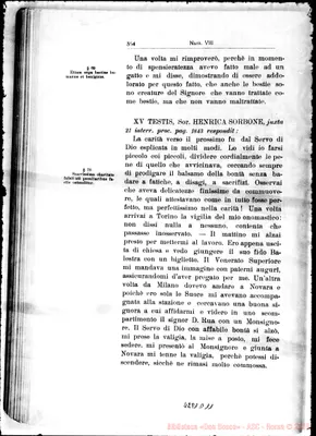 Fotogramma D 11
