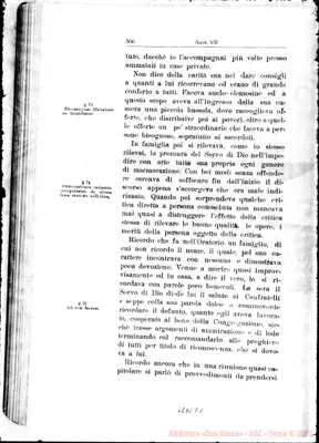 Fotogramma E 1
