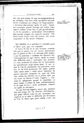 Fotogramma D 8