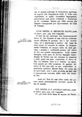 Fotogramma C 11