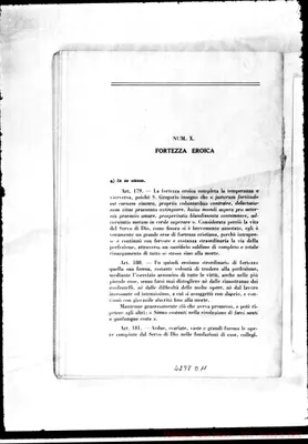 Fotogramma D 11