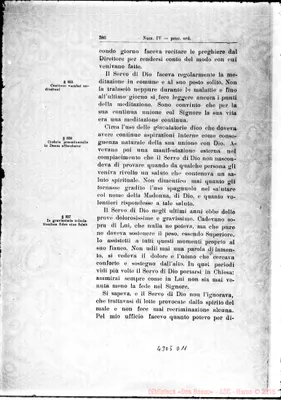 Fotogramma D 11