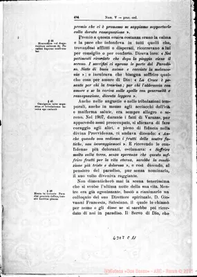 Fotogramma C 11