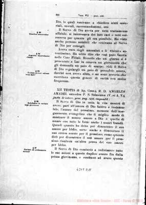 Fotogramma D 11
