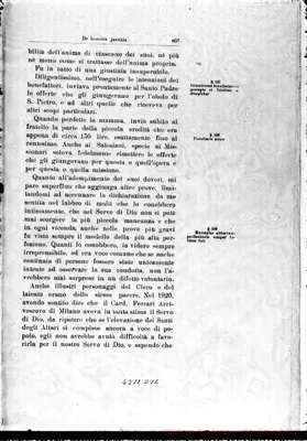 Fotogramma D 12