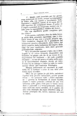 Fotogramma D 11