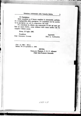 Fotogramma D 11