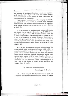 Fotogramma B 8
