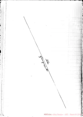 Fotogramma C 1