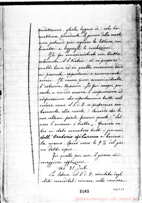 Fotogramma E 7