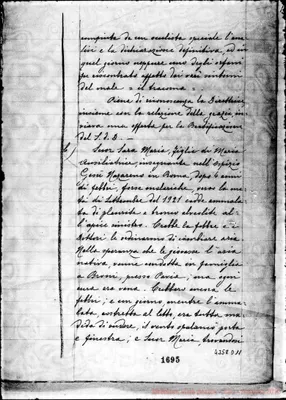 Fotogramma D 11