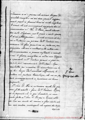 Fotogramma D 10