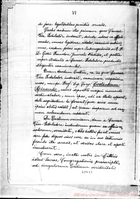 Fotogramma E 7