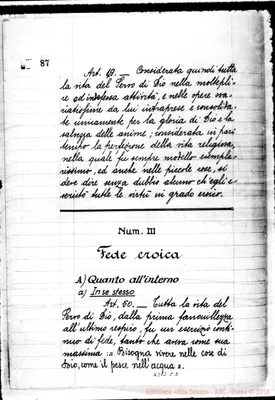 Fotogramma C 5