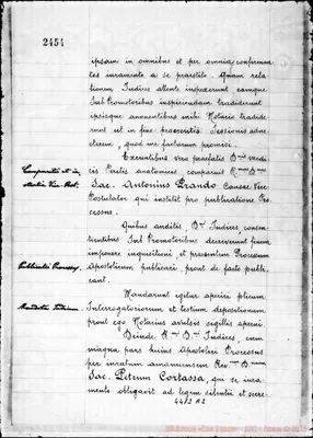 Fotogramma A 2