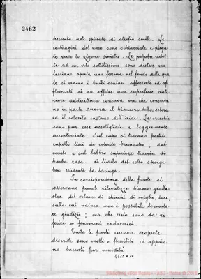 Fotogramma A 10