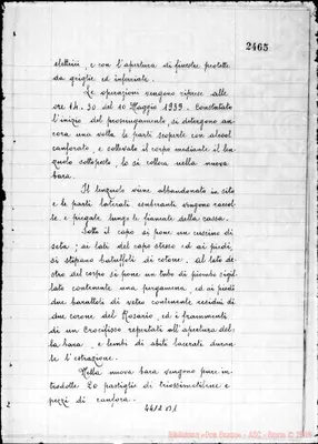 Fotogramma B 1