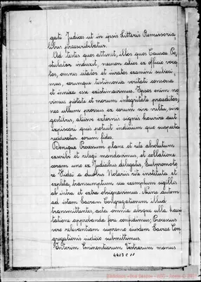 Fotogramma C 11