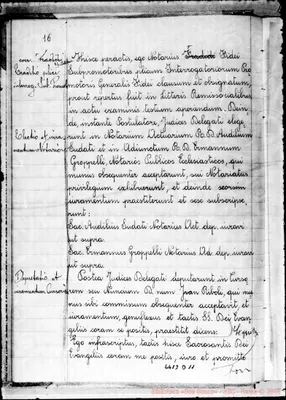 Fotogramma D 11