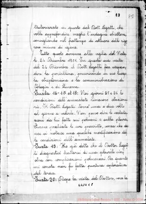 Fotogramma E 8