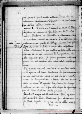 Fotogramma C 11